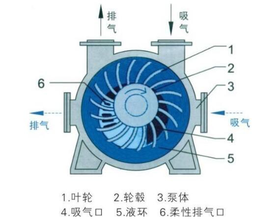 水環(huán)真空泵